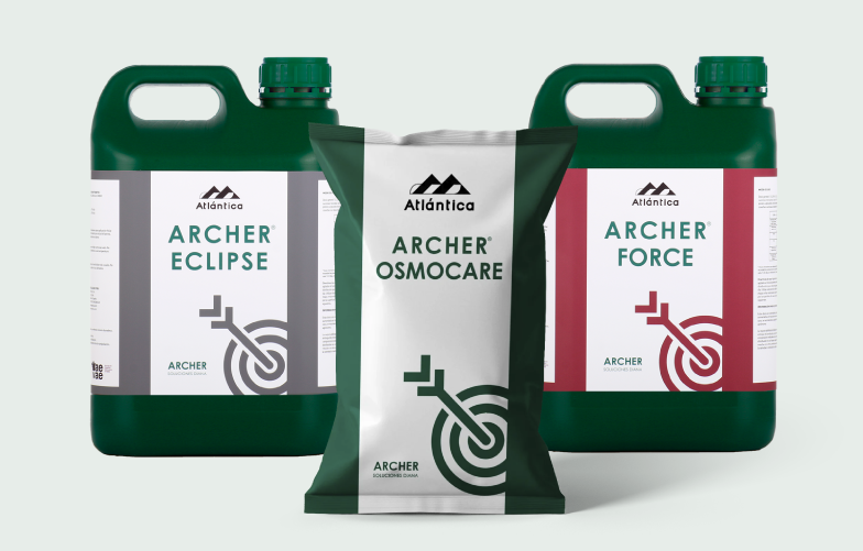 productos archer aguacate