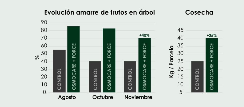 Resultados de Archer Osmocare y Force