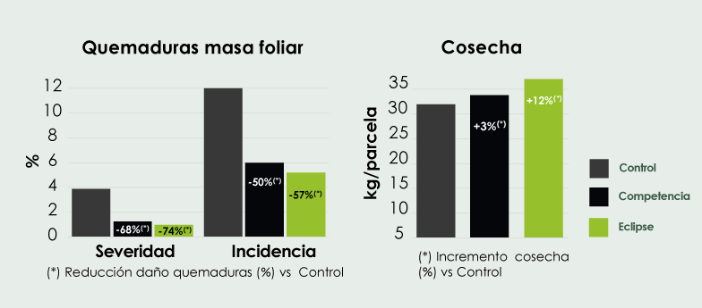 Resultados de Archer Eclipse